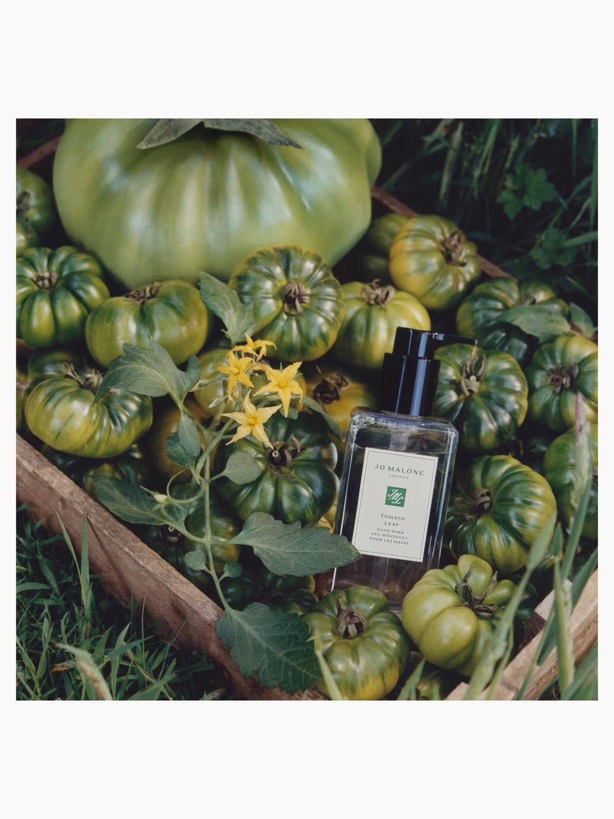 Jo Malone London Tomato Leaf Hand Wash 250ml 2