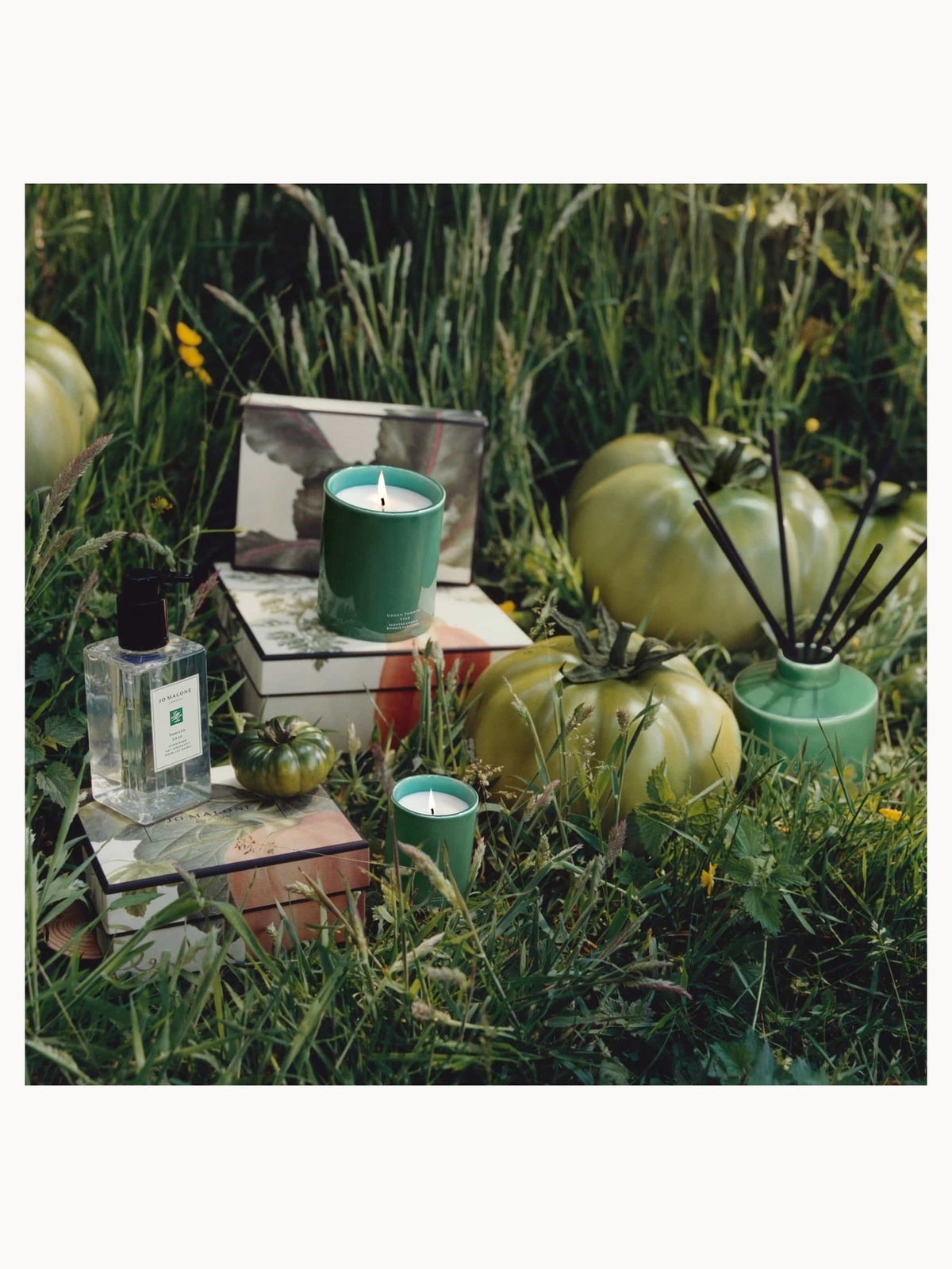 Jo Malone London Tomato Leaf Hand Wash 250ml 3