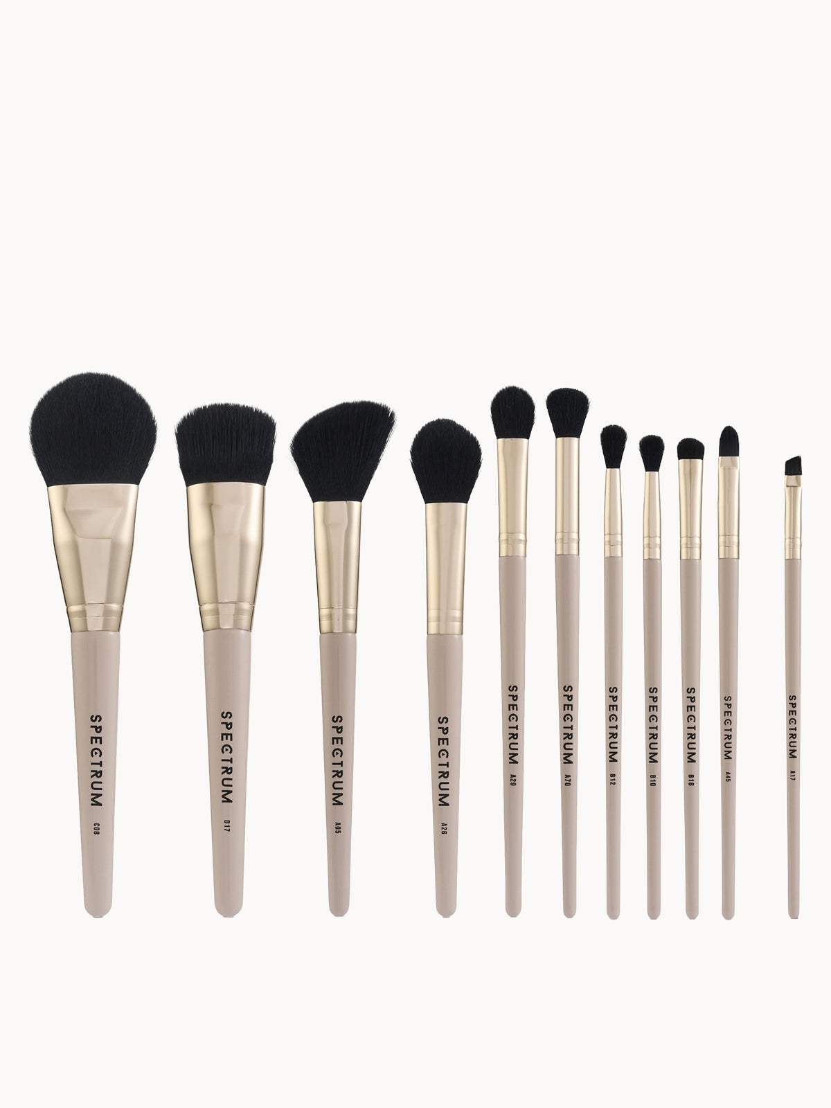 Spectrum Collections All About The Brush 12-piece Complete Brush Set