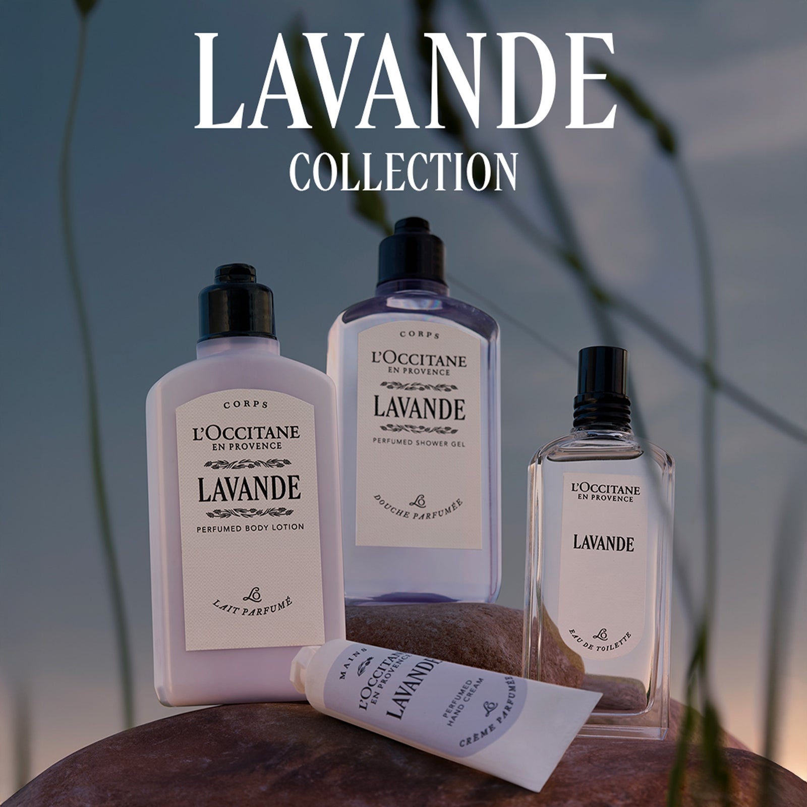 L'Occitane Lavande (Lavender) Hand Cream 75ml 4
