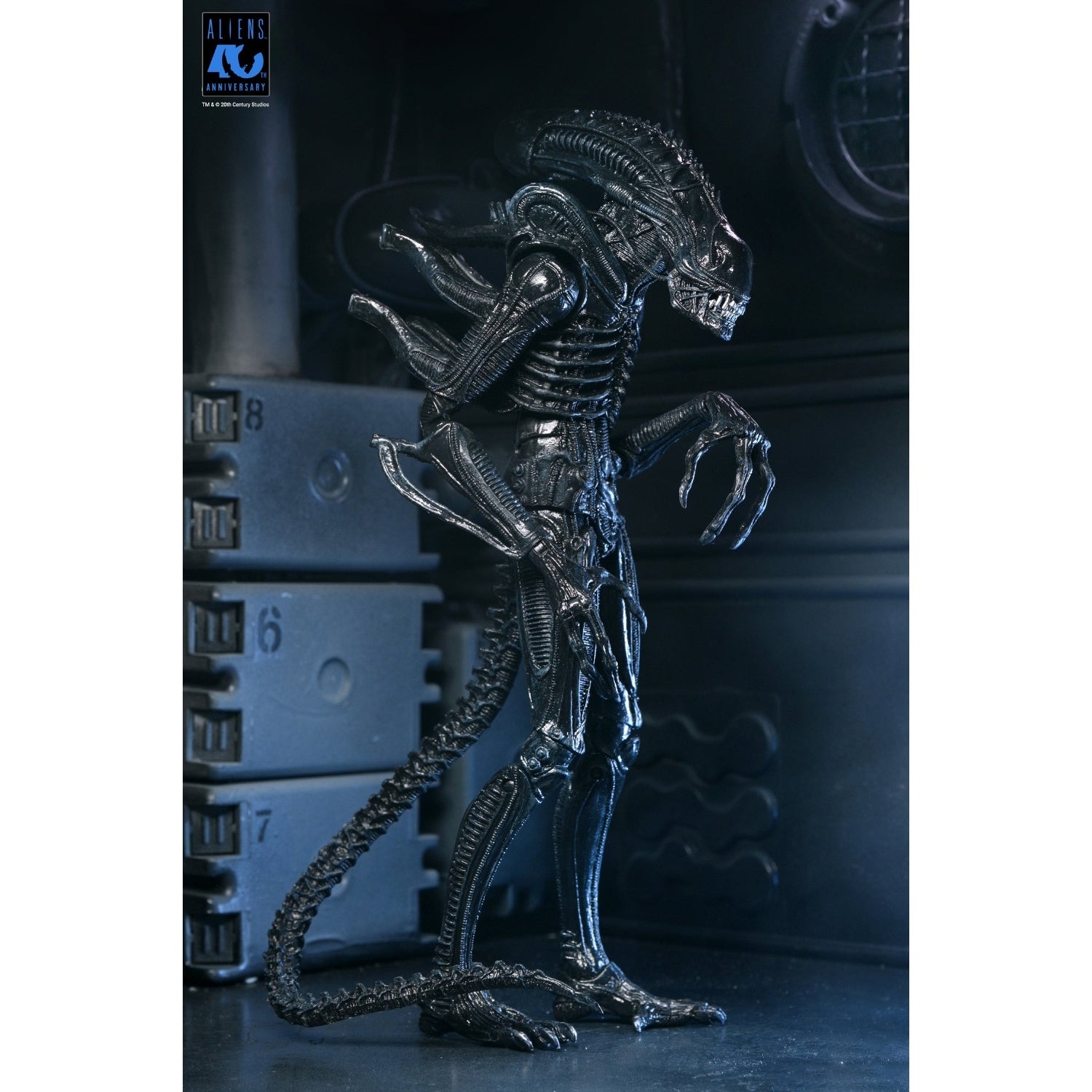 ALIENS (1986) 40TH ANNIVERSARY WARRIOR XENOMORPH (BLACK) ULTIMATE 7 INCH SCALE ACTION FIGURE - NECA