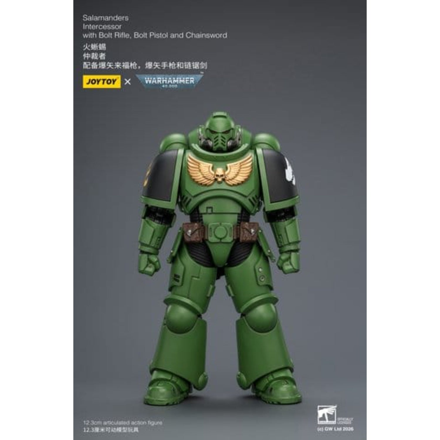 Warhammer 40,000 Action Figure Salamanders Intercessor 12 cm