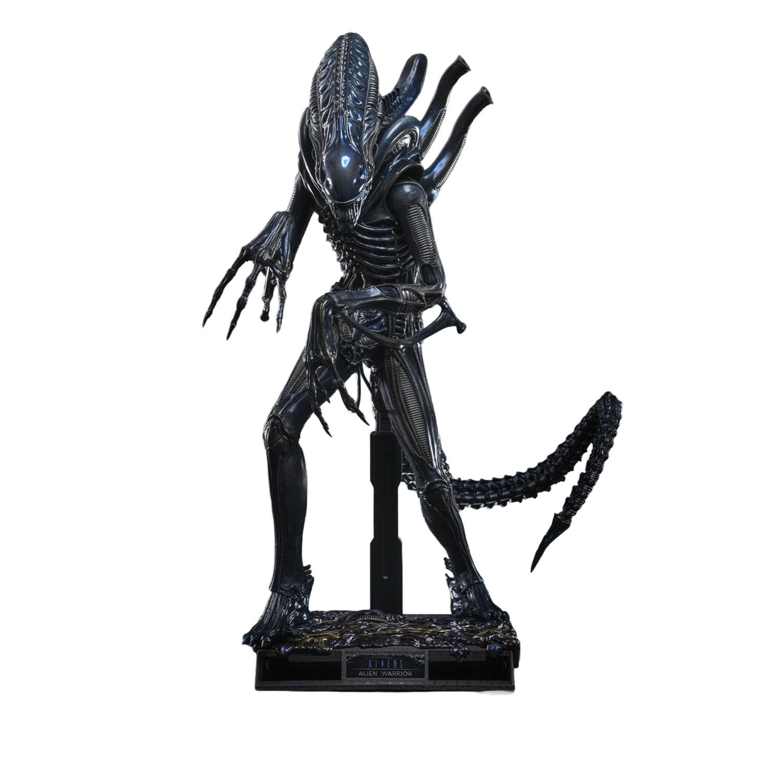 Hot Toys 1/6 Alien Warrior - Aliens