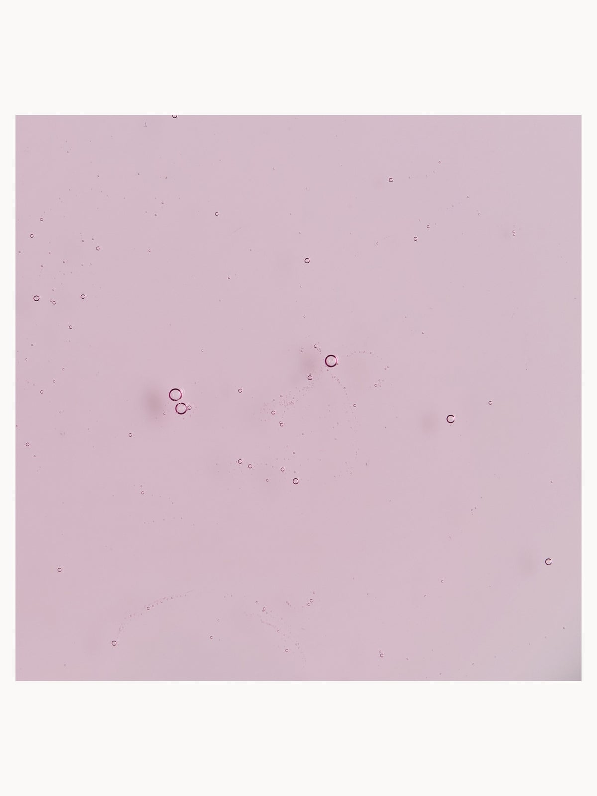 The Body Shop Bath/Shower Gel Cranberry Mint 250ml, photo 2