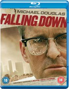 Warner Home Video Falling Down warner home video kopen in de aanbieding