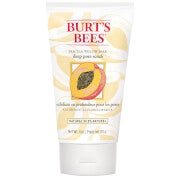 Exfoliant profond à la pêche et écorce de saule Burt's Bees (110 g)
