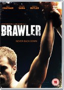 Brawler