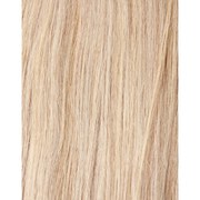 Beauty Works 100 Remy Colour Swatch Hair Extension Vintage Blonde 60 beauty works kopen in de aanbieding