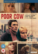 Poor Cow