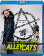 Universal Pictures Alleycats universal pictures kopen in de aanbieding Universal Pictures Alleycats universal pictures kopen in de aanbieding