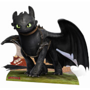 Image of How to Train Your Dragon Toothless Stand In Cut Out
