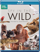 Spirit Entertainment Spy In The Wild spirit entertainment kopen in de aanbieding