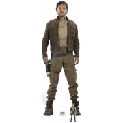 Star Cut Outs Wars Rogue One Captain Cassian Andor Out Diego Luna star cut outs kopen in de aanbieding Star Cut Outs Wars Rogue One Captain Cassian Andor Out Diego Luna star cut outs kopen in de aanbieding