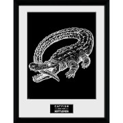 Gb Eye Catfish And The Bottlemen Alligator 16 X 12 Inches Framed Photograph gb eye kopen in de aanbieding Gb Eye Catfish And The Bottlemen Alligator 16 X 12 Inches Framed Photograph gb eye kopen in de aanbieding