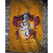 Gb Eye Harry Potter Gryffindor Flag 40 X 50Cm Mini Poster gb eye kopen in de aanbieding