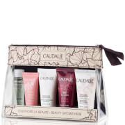 Caudalie Travel Kit caudalie kopen in de aanbieding Caudalie Travel Kit caudalie kopen in de aanbieding