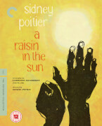 A Raisin In The Sun Criterion Collection criterion collection kopen in de aanbieding A Raisin In The Sun Criterion Collection criterion collection kopen in de aanbieding