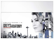 Grey's Anatomy S1-14 Boxset