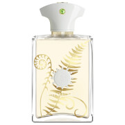 Eau de Parfum Bracken pour Homme Amouage 100 ml