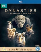 Dynasties