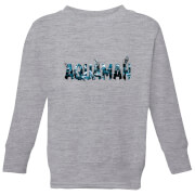 Aquaman Chest Logo Kids Sweatshirt Grey 3 4 Years aquaman kopen in de aanbieding Aquaman Chest Logo Kids Sweatshirt Grey 3 4 Years aquaman kopen in de aanbieding