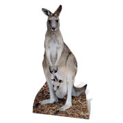 Star Cut Outs Kangaroo Lifesize Cardboard star cut outs kopen in de aanbieding Star Cut Outs Kangaroo Lifesize Cardboard star cut outs kopen in de aanbieding
