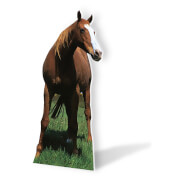 Star Cut Outs Mustang Horse Lifesize Cardboard star cut outs kopen in de aanbieding