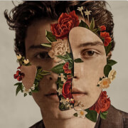 Shawn Mendes Lp huismerk kopen in de aanbieding