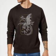 Harry Potter Hungarian Horntail Dragon Sweatshirt Black S harry potter kopen in de aanbieding