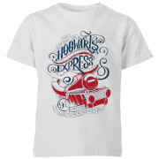 Harry Potter Hogwarts Express Kids T Shirt Grey 11 12 Years harry potter kopen in de aanbieding