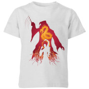 Harry Potter Dumbledore Voldermort Kids T Shirt Grey 9 10 Years harry potter kopen in de aanbieding