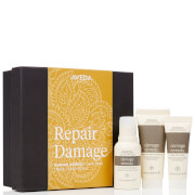 Aveda Repair Damage Travel Essentials Worth Ps2700 aveda kopen in de aanbieding