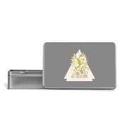 Pineapple Metal Storage Tin Pineapple Metal Storage Tin