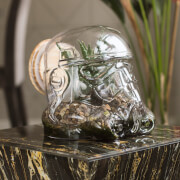 Terrarium Original Stormtrooper Star Wars