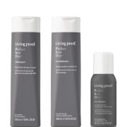 Living Proof Perfect Hair Bundle