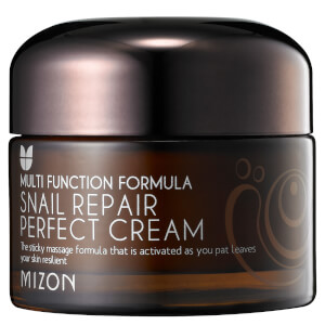picture of Mizon Snail Repair Perfect Cream