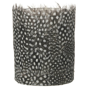 Parlane Feather Tealight Holder (10 x 8cm) - Black