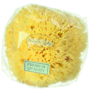 Hydrea London Honeycomb Sea Sponge, Size 4 - 4,5