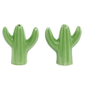 Sass & Belle Cactus Shaped Salt and Pepper Shaker Set