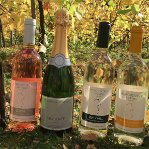 Tour and Tasting with Afternoon Tea for Two at Chilford Hall Vineyard