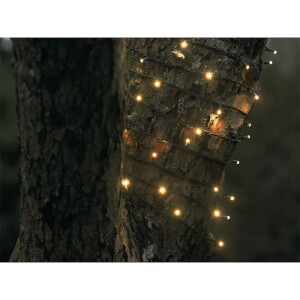 Sirius David Indoor and Outdoor Chain Lights - 160 LED - 24m
