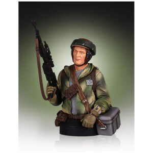 Gentle Giant Star Wars Endor Trooper 1/6 Scale Mini-bust - 18cm