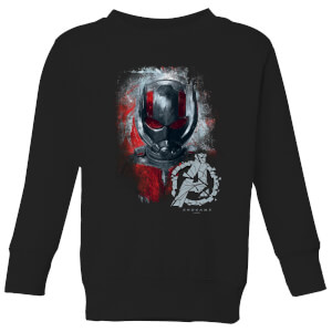 Sweat-shirt Avengers Endgame Ant Man Brushed - Enfant - Noir