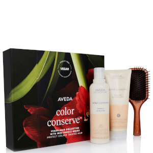 Aveda Colour Conserve and Mini Paddle Brush 500ml