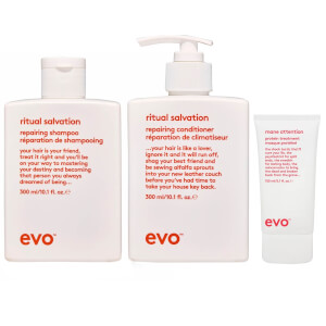 evo Ritual Salvation Repairing Set