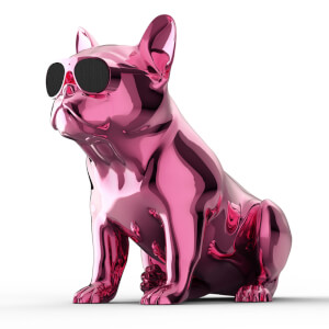 jarre aerobull hd1