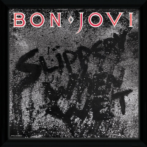 slippery when wet bon jovi album covers