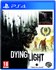 Dying Light Dying Light