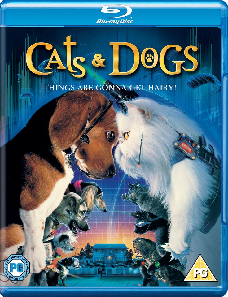 

Chats et chiens
