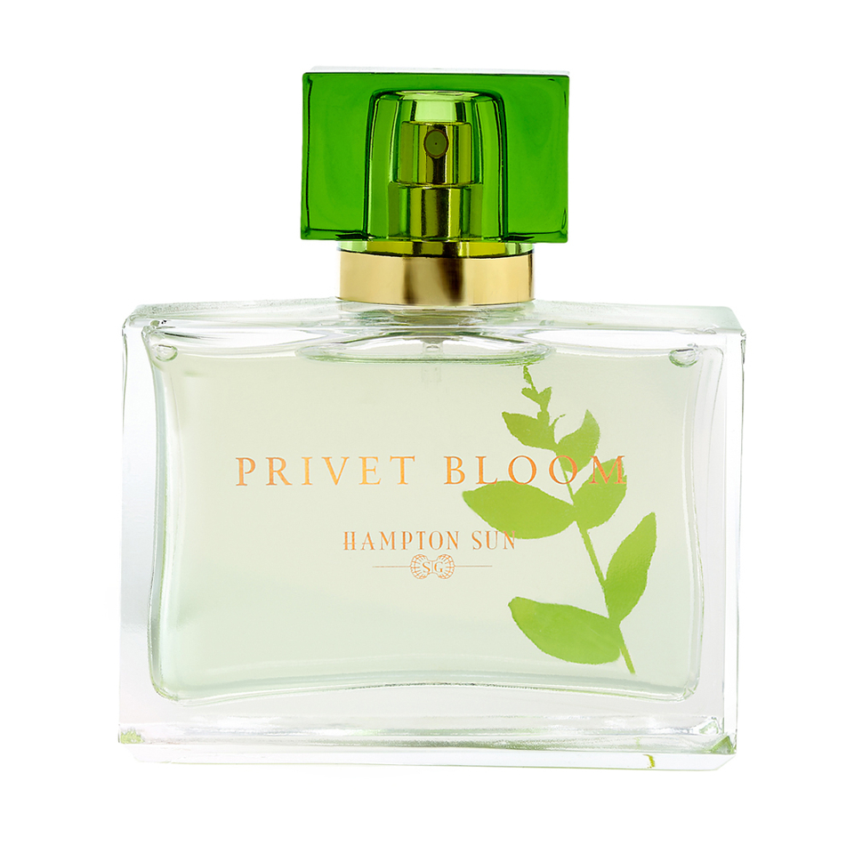 UPC 184573000107 product image for Hampton Sun Privet Bloom Eau de Parfum 1.7oz | upcitemdb.com